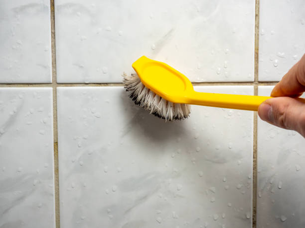 Best Localized Mold Remediation (e.g., coastal areas, humid climates) in Frisco, TX