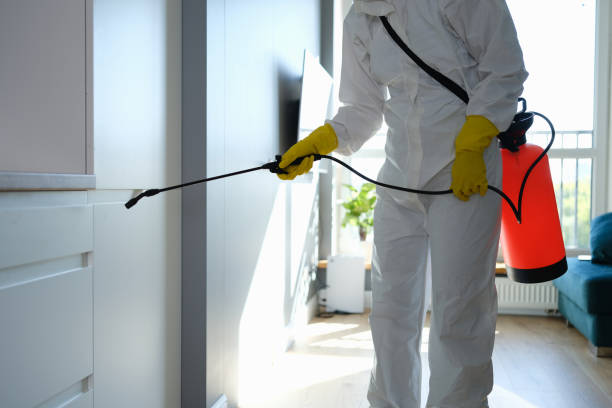 Best Emergency Mold Remediation in Frisco, TX
