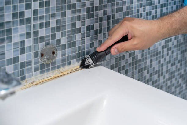 Best Industrial Mold Remediation in Frisco, TX